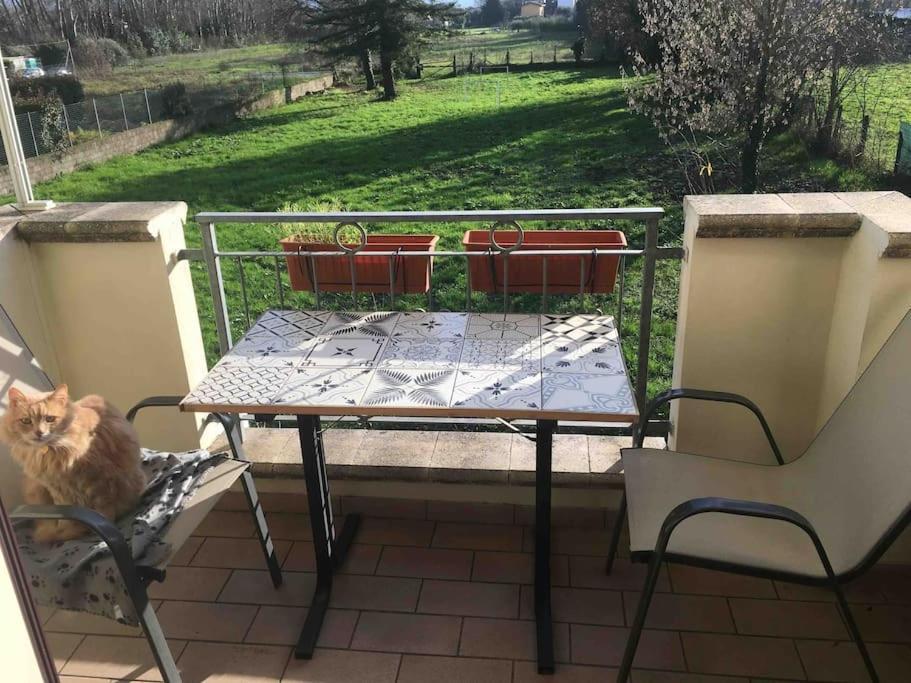 Piccolo Borgo Lejlighed Lucca Eksteriør billede